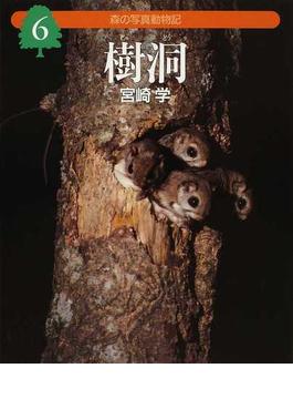 森の写真動物記 ６ 樹洞