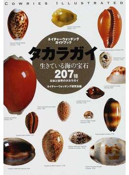 タカラガイ 生きている海の宝石 日本と世界のタカラガイ２０７種