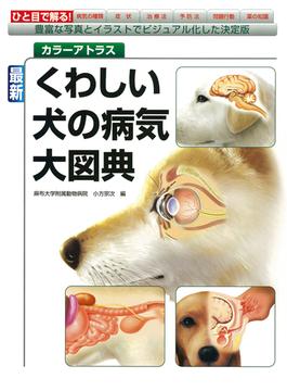 最新くわしい犬の病気大図典 カラーアトラス 豊富な写真とイラストでビジュアル化した決定版
