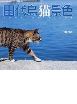 田代島猫景色 のびやかに生きる猫たちの姿