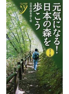 元気になる！日本の森を歩こう カラー版