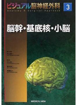 ビジュアル脳神経外科 Ａｎａｔｏｍｙ ＆ Ｓｕｒｇｉｃａｌ Ａｐｐｒｏａｃｈ ３ 脳幹・基底核・小脳