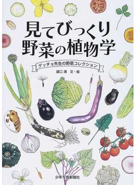 見てびっくり野菜の植物学 ゲッチョ先生の野菜コレクション