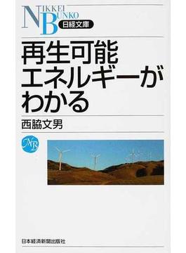 再生可能エネルギーがわかる(日経文庫)