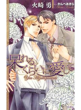 呆れるくらいに愛して【特別版】(CROSS NOVELS)