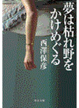 夢は枯れ野をかけめぐる(中公文庫)