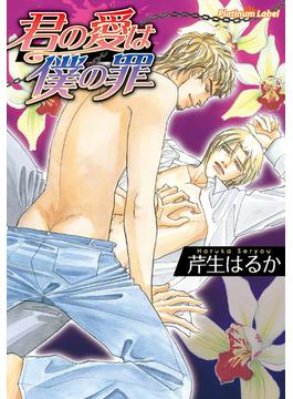 君の愛は僕の罪(プラチナ文庫)
