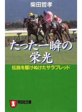 たった一瞬の栄光――伝説を駆けぬけたサラブレッド(祥伝社黄金文庫)