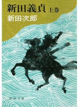 新田義貞（上）