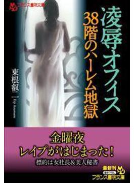 凌辱オフィス【38階のハーレム地獄】(フランス書院文庫)