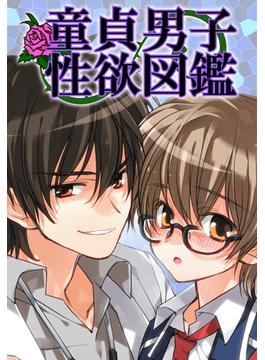 童貞男子性欲図鑑（８）