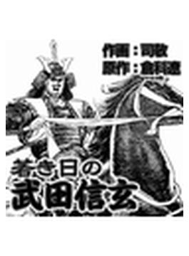 若き日の武田信玄（９）