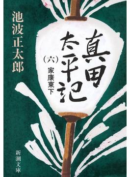 真田太平記（六）家康東下