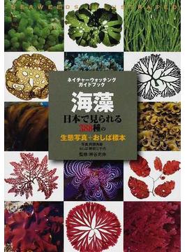 海藻 日本で見られる３８８種の生態写真＋おしば標本