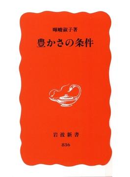 豊かさの条件(岩波新書)