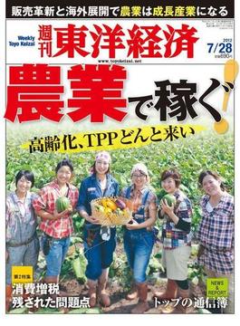 週刊東洋経済2012年7月28日号