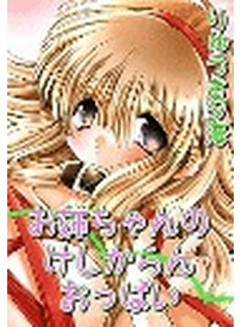 お姉ちゃんのけしからんおっぱい（11）(HMモバイル)