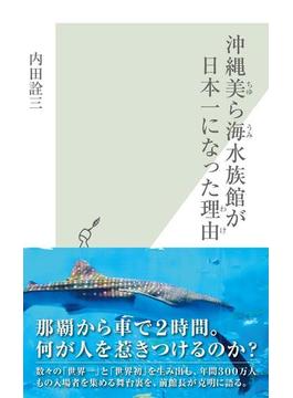 沖縄美ら海水族館が日本一になった理由(光文社新書)