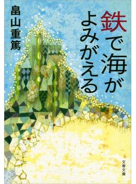 鉄で海がよみがえる(文春文庫)