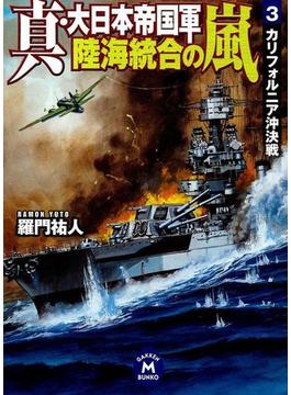 真・大日本帝国軍 陸海統合の嵐3(学研Ｍ文庫)