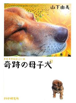 奇跡の母子犬