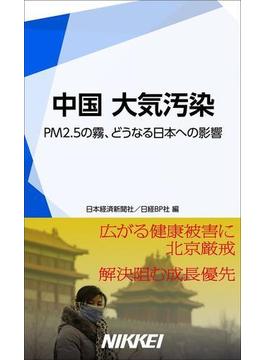 中国 大気汚染(日経e新書)