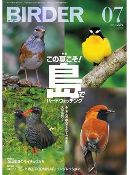 BIRDER 2013年 7月号