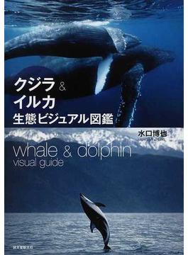 クジラ＆イルカ生態ビジュアル図鑑