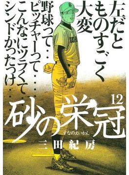 砂の栄冠（12）
