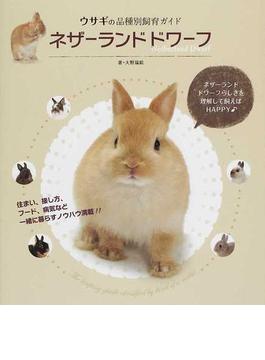 ネザーランドドワーフ ウサギの品種別飼育ガイド