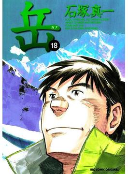 岳　18(ビッグコミックス)