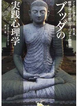 ブッダの実践心理学 アビダンマ講義シリーズ 第８巻 瞑想と悟りの分析 ２ ヴィパッサナー瞑想編