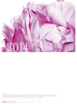 フローリスト・2014カレンダー（フローリスト2013年12月号付録）