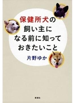 保健所犬の飼い主になる前に知っておきたいこと