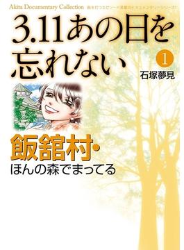3.11　あの日を忘れない　1　～飯舘村・ほんの森でまってる～(Akita Documentary Collection)