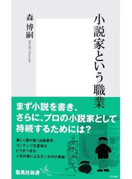 小説家という職業(集英社新書)