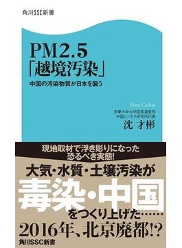 ＰＭ２．５「越境汚染」　中国の汚染物質が日本を襲う(角川SSC新書)