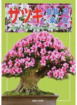 サツキ盆栽と花を楽しむ 盆栽入門に最適な日本固有の花を咲かせてみませんか