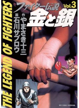 ファイター伝説　金と銀　3(ビッグコミックス)