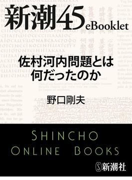 佐村河内問題とは何だったのか―新潮45eBooklet(新潮45eBooklet)
