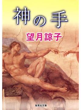 神の手（木部美智子シリーズ）(集英社文庫)
