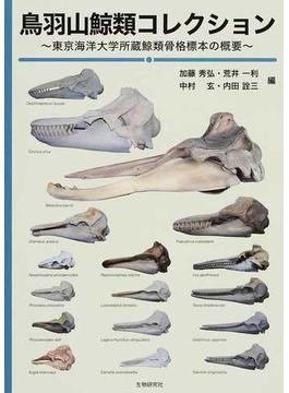 鳥羽山鯨類コレクション 東京海洋大学所蔵鯨類骨格標本の概要