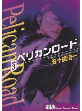 ペリカンロード（３）(少年画報社文庫)