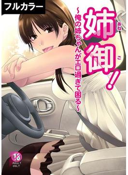 姉御！～俺の姉ちゃんがエロ過ぎて困る～【フルカラー】（６）(カゲキヤコミック)