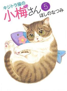キジトラ猫の小梅さん（５）(ねこぱんちコミックス)