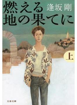 燃える地の果てに（上）(文春文庫)
