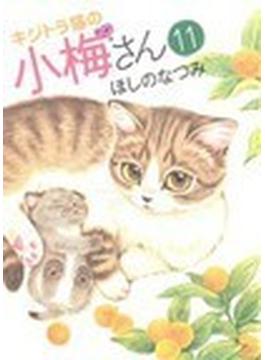 キジトラ猫の小梅さん １１ （コミック）(ねこぱんちコミックス)
