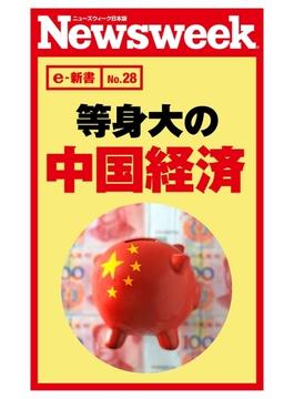 等身大の中国経済（ニューズウィーク日本版e-新書No.28）