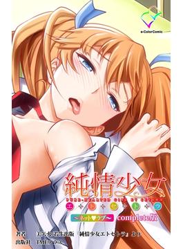 【フルカラー】純情少女 エトセトラ ～ネットラブ～ Complete版(e-Color Comic)