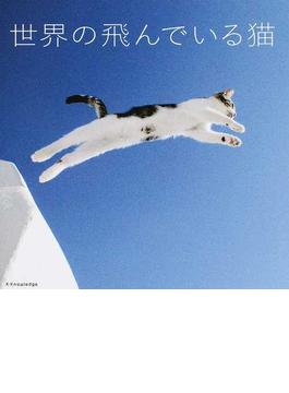 世界の飛んでいる猫